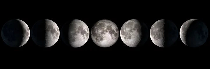 Wall murals Full moon Moon phases panoramic collage, elements of this image are provided by NASA