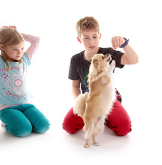 Mädchen und Junge mit kleinem Hund