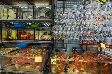 Fotobehang goldfish market Mong Kok Kowloon Hong Kong © snaptitude