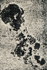 Solar Surface with granules and sunspots