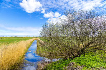 Achterwasser in Usedom at the baltic sea