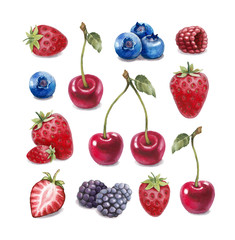 Watercolor illustration of berries