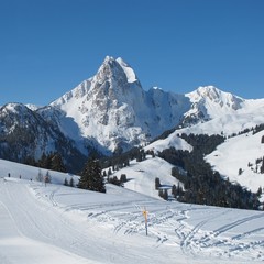 Fototapeta na wymiar Beautiful view from the Eggli ski area