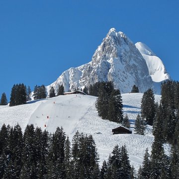 View from the Eggli, Rublihornand ski slope