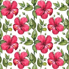 Plakaty  Ilustracja kwiat hibiskusa akwarela. Jednolity wzór
