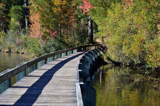Boardwalk at Lake Juniper at Cheraw State Park