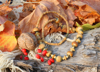 Ethnic handmade bone necklace