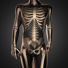 human radiography scan  with bones