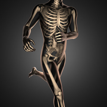 human radiography scan  with bones