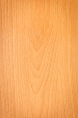 Obraz premium Wood texture background