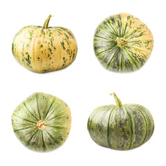 Green pumpkin isolated