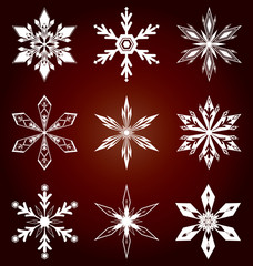 Set of snowflakes icon in vector.