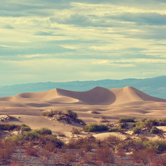 Obraz na płótnie Canvas Sand dune in the desert
