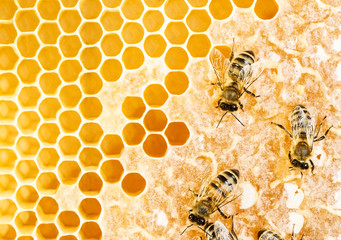 Working bees