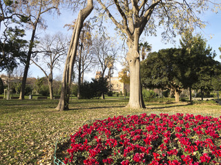 Flowery Corner Ciutadella Park.