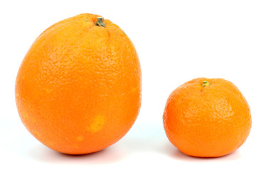 Oranges and tangerines isolated on white background