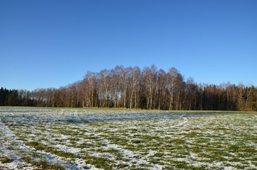Grüne Wiese und erster Schnee