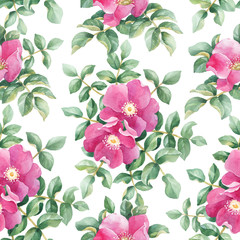 Watercolor pattern with dog rose illustration