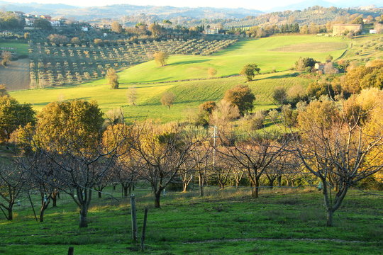 Campagna reatina