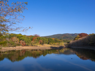 Nara view in autumn season, Japan