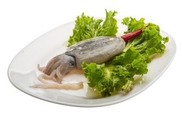 Raw cuttlefish