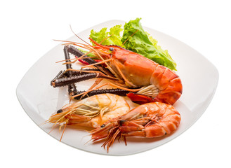 Giant Freshwater Prawn and king prawns
