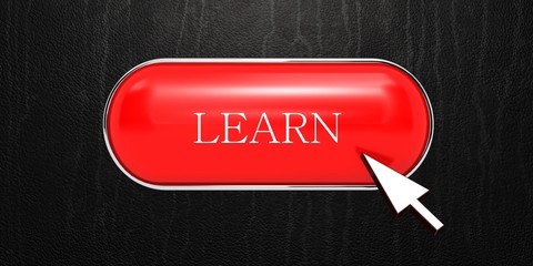 Learn button © castelberry