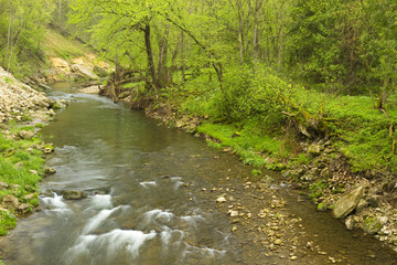 Obraz premium Whitewater River In Spring