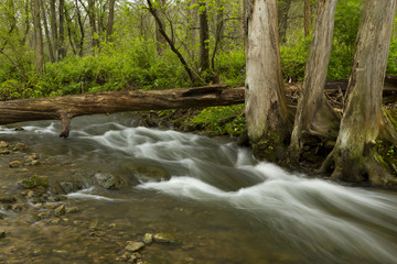 Obraz premium Whitewater River In Spring