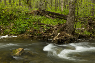 Whitewater River In Spring