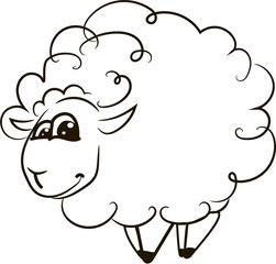 Sheep