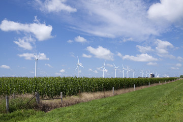 Fototapeta na wymiar Wind Generators In Corn Field