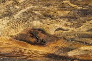 Wall murals Firewood texture Wood Texture