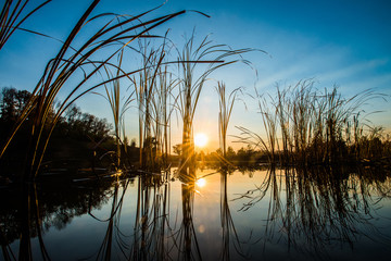 sunset and the lake