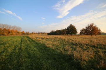 Fototapeta premium Rural landscape in Mecklenburg-Vorpommern, Germany, in the autumnal sunset