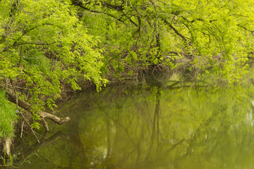 Fototapeta na wymiar Zumbro River In Spring