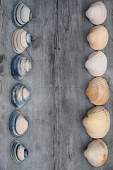 Foto op Plexiglas Achtergrond van mooie schelpen op oud hout © trinetuzun