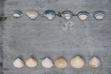 Küchenrückwand glas motiv Achtergrond van mooie schelpen op oud hout © trinetuzun
