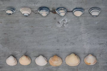 Wandaufkleber Hintergrund von schönen Muscheln auf altem Holz © trinetuzun