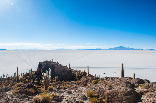 Salar de Uyuni, Isla Incahuasi, bolivia