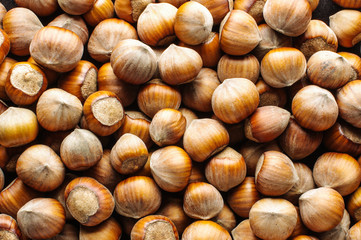 Hazelnut background