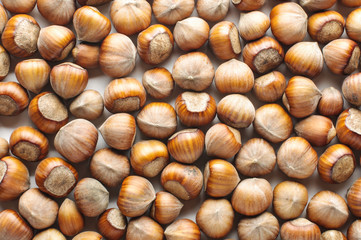 Many hazelnuts pattern
