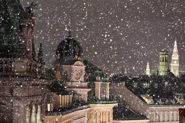 Foto op Plexiglas Wenen daken stadsgezicht met sneeuw © viperagp