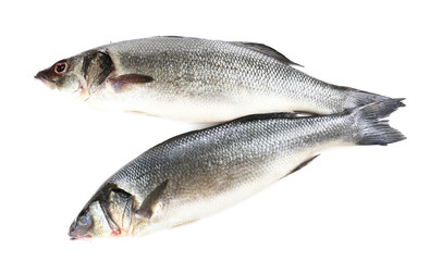 Fresh seabass fish isolated on white