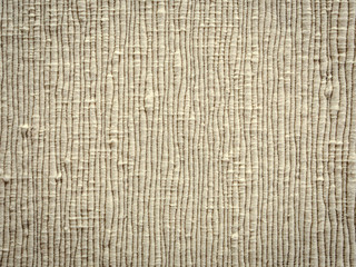 Fototapeta premium textile texture background