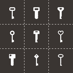Vector key icon set