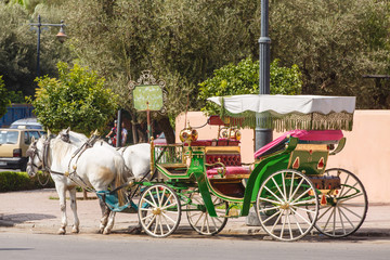 Marokko, Marrakesh, rijtuig