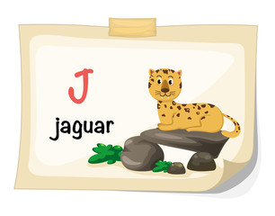 animal alphabet letter J for jaguar illustration vector