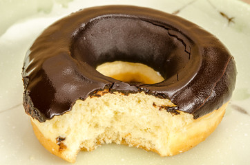 Donut