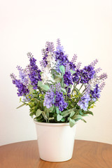 Naklejka na ściany i meble Lavender in flower pot